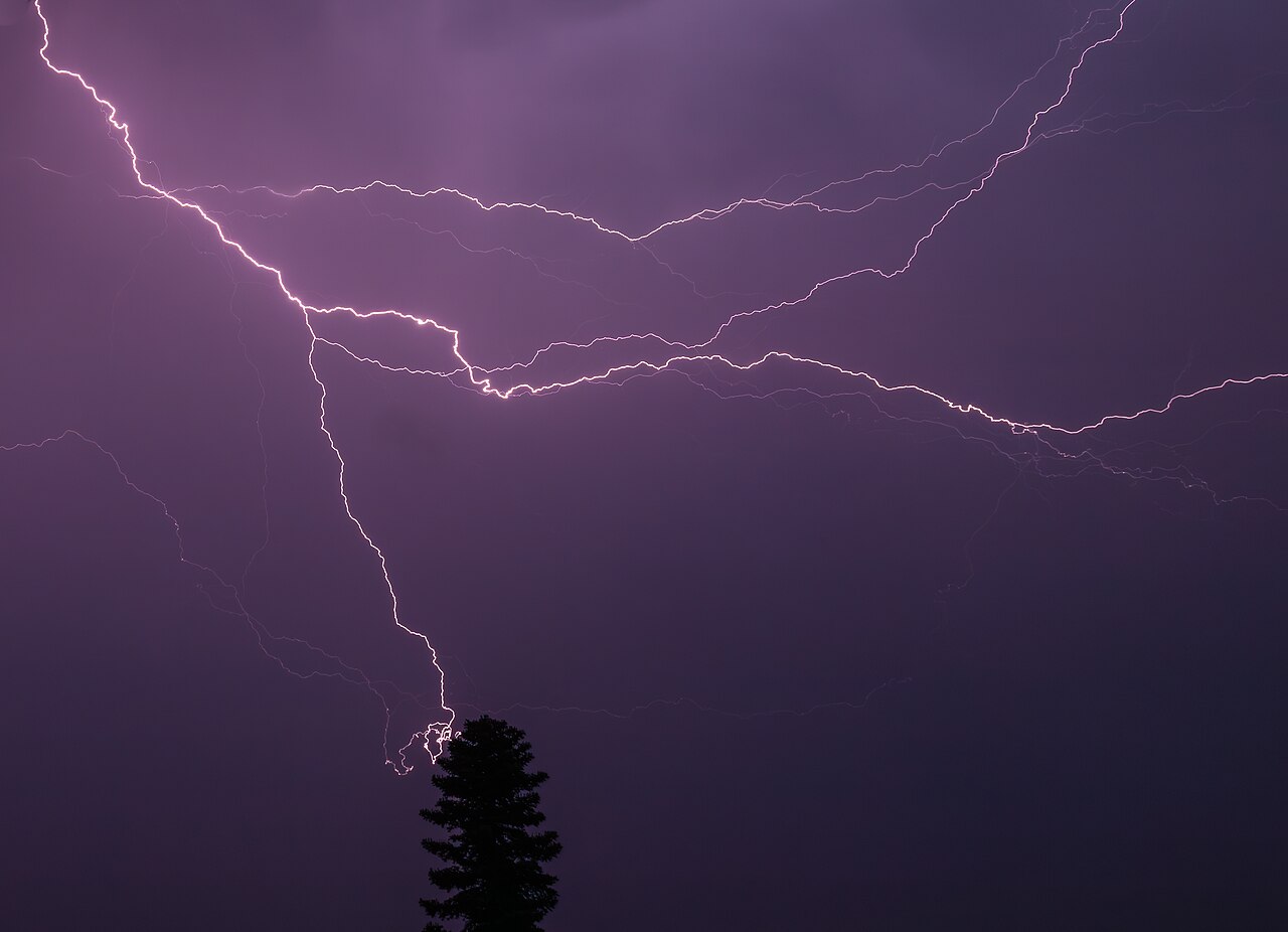 Lightning striking a tree