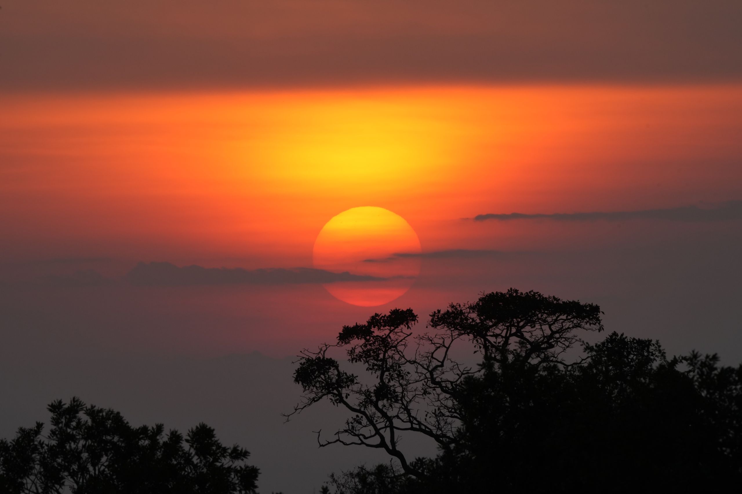 The sun rising over the Serengeti National Park in Tanzania.