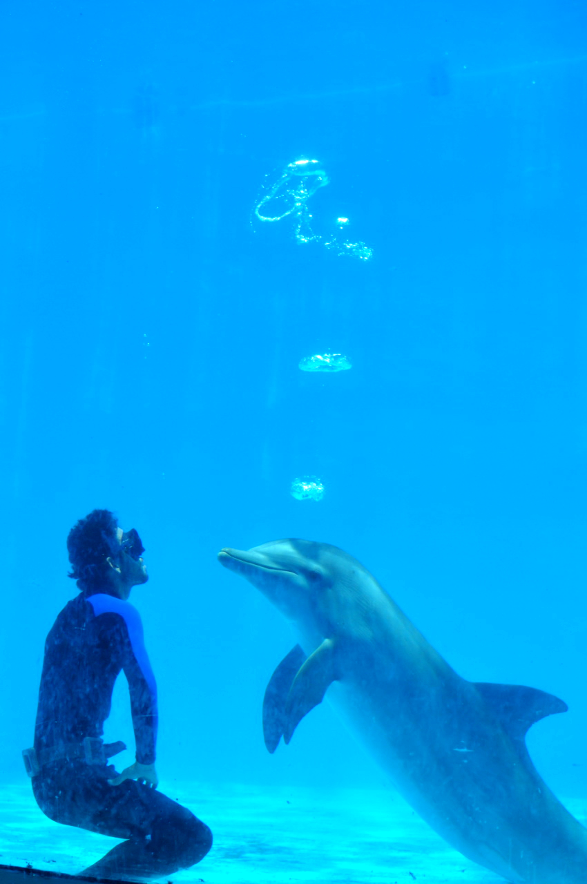 Blowing bubbles under water
