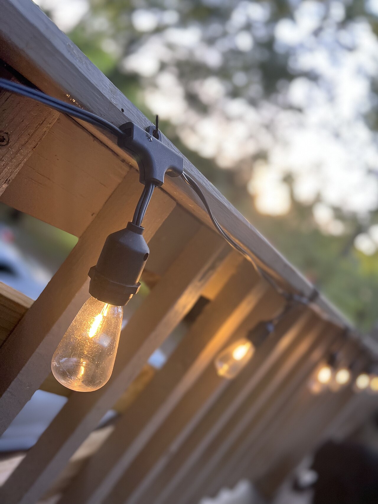 Light bulbs lighting up because electricity is flowing through the power cable into them