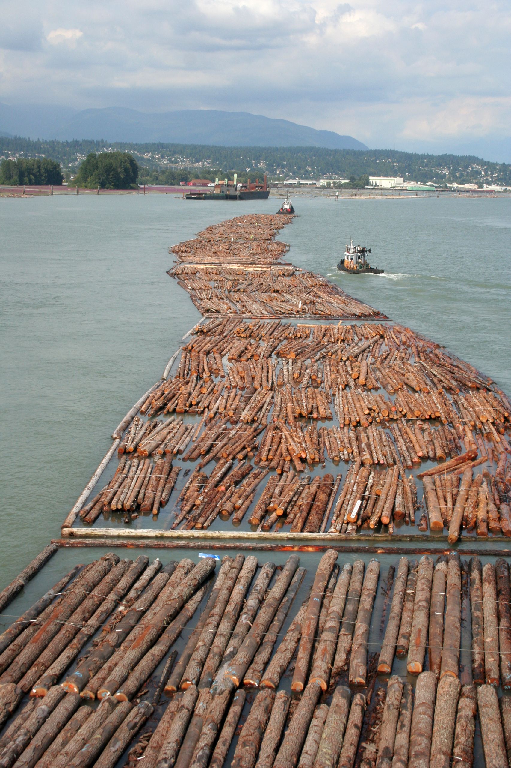 Logs being floated down the river to transport them to where they can be cut up and made into things