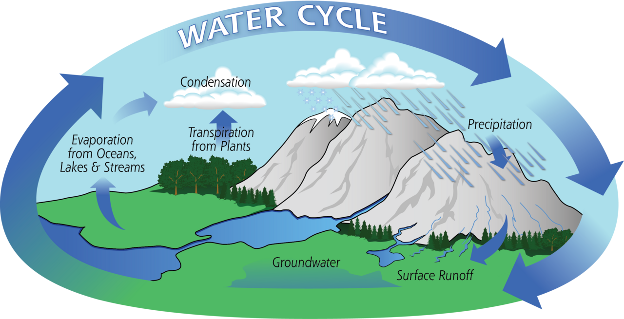 Diagram of water cycle